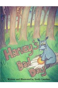Harvey's Bad Day