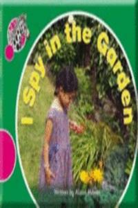 Spotty Zebra Pink B Change I Spy in the Garden (x6)