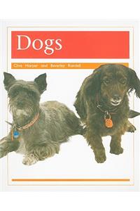 Pets: Dogs