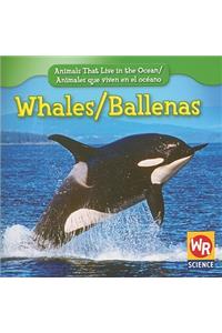 Whales / Ballenas