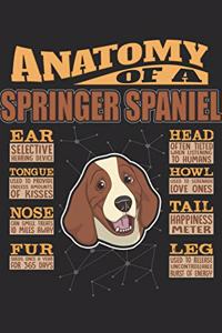 Anatomy Of A Springer Spaniel