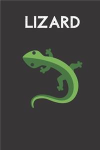 Lizard