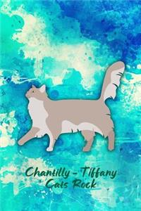 Chantilly-Tiffany Cats Rock