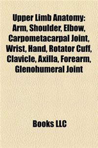 Upper Limb Anatomy