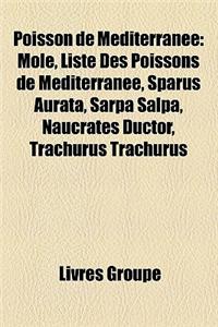 Poisson de Mditerrane