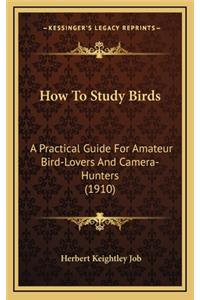 How to Study Birds