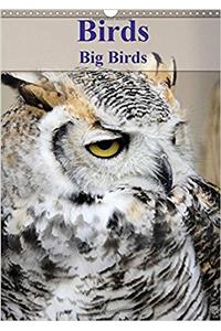 Birds Big Birds 2017