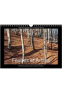 Feuilles Et Arbres 2017