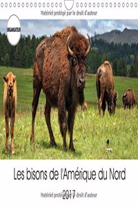 Bisons De L'amerique Du Nord 2017