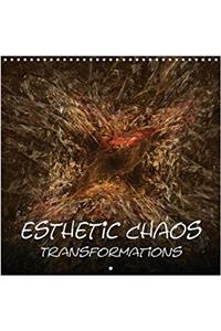 Esthetic Chaos Transformations 2018