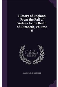 History of England From the Fall of Wolsey to the Death of Elizabeth, Volume 6