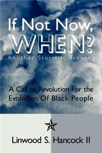 If Not Now, When? Another Storm is brewing: A Call to Revolution For the Evolution Of Black People