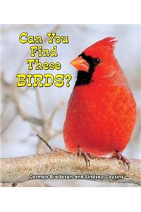Can You Find These Birds?