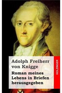 Roman meines Lebens in Briefen herausgegeben
