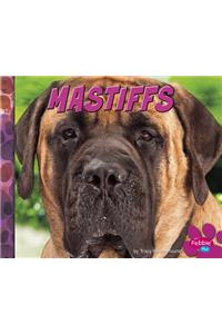 Mastiffs