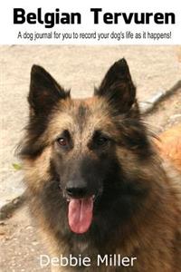 Belgian Tervuren