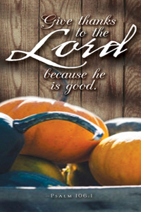 Give Thanks Thanksgiving Offering Envelope (Pkg of 50)