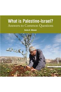 What is Palestine-Israel
