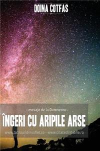 Ingeri Cu Aripi Arse