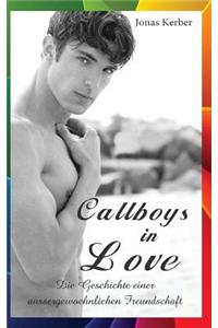 Callboys in Love - Die Geschichte einer außergewöhnlichen Freundschaft (Gay Romance)