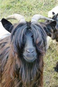 Brown Longhaired Goat Animal Journal