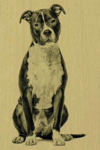 American Staffordshire Terrier: Artified Pets Journal/Notebook/Diary