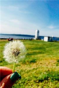 Such a Pretty White Dandelion Full of Wishes Summer Day Journal