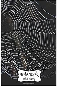 Notebook Journal Dot-grid, Graph, Lined, Blank, No Lined - Cobweb: Small Pocket Notebook / Journal / Diary