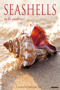 Seashells 2026 12 X 12 Wall Calendar