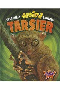 Tarsier