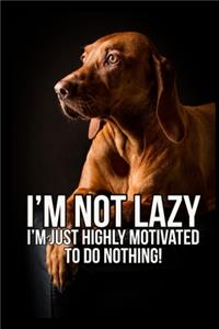 I'm not lazy I'm just highly motivated to do nothing