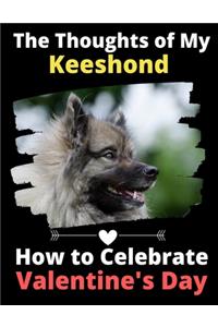 Thoughts of My Keeshond
