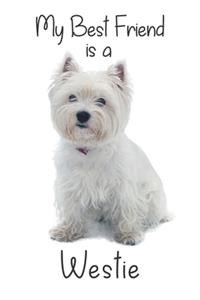 My best Friend is a Westie