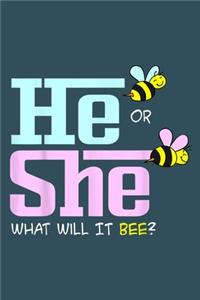 He or She what will it bee