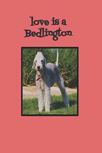 Love is a Bedlington - Bedlington terrier notebook