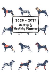 2020 - 2021 Weekly & Monthly Planner