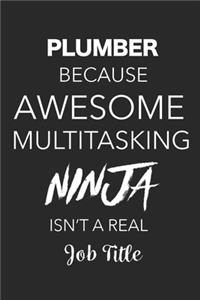 Plumber Because Awesome Multitasking Ninja Isn't A Real Job Title