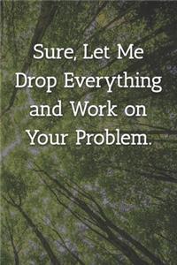 Sure, Let Me Drop Everything and Work on Your Problem. Notebook