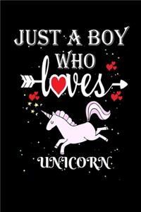 Just a Boy Who Loves Unicorn