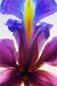 Cool Multicolored Single Iris Flower Journal