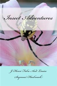Insect Adventures