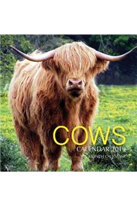 Cows Calendar 2019