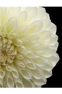 Dahlia Annuals Perennials Garden Gardening Flower Design Landscape Landscaping