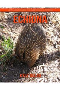 Echidna! Learn about Echidna and Enjoy Colorful Pictures