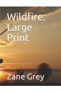 Wildfire: Large Print