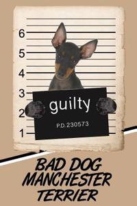 Bad Dog Manchester Terrier