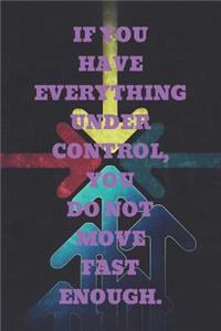 If You Have Everything Under Control, You Do Not Move Fast Enough.