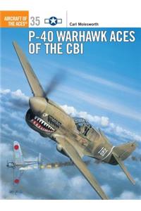 P-40 Warhawk Aces of the Cbi