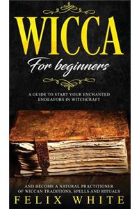 Wicca for Beginners
