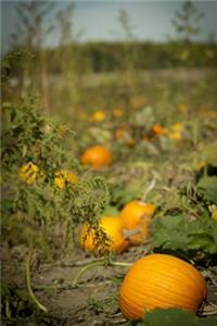 Welcome to the Pumpkin Patch Autumn Harvest Journal